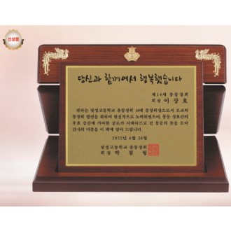 ���� ������ 20, 24cm x 20cm